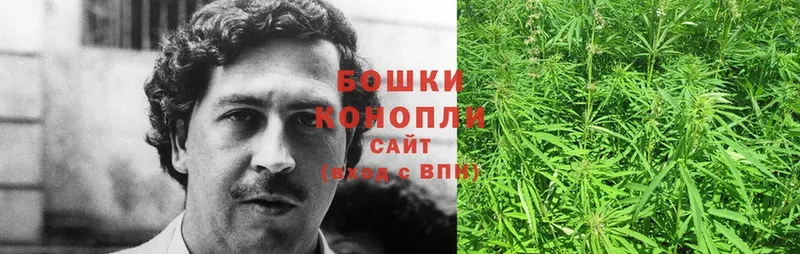 цена   Новокузнецк  Конопля Ganja 